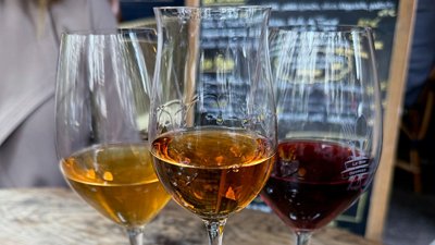 Debbi Peek and Brian Masilionis