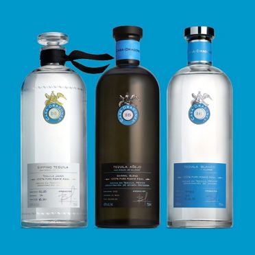 Three elegant bottles of Casa Dragones tequila on a simple background, with clear, blue, and dark glass.