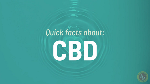 Five hands holding different CBD topical products