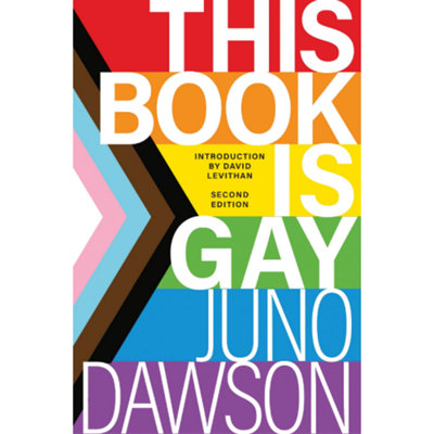 This Book Is Gay book cover.