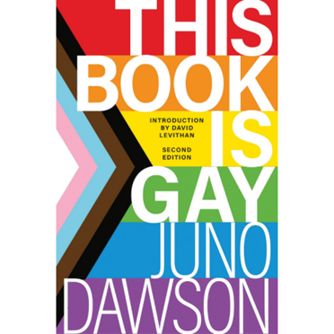 This Book Is Gay book cover