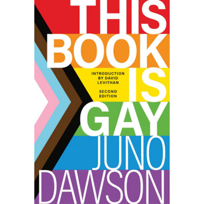 This Book Is Gay book cover.